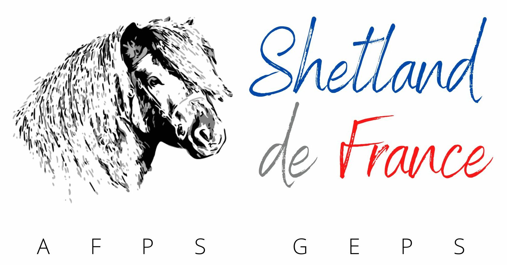 Le site du shetland vous présente le poney et le concours